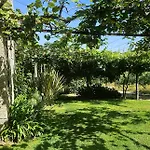 Quinta Do Ribeiro Garden House Willa *