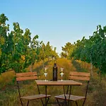 Quinta Do Ribeiro Garden House Lousada