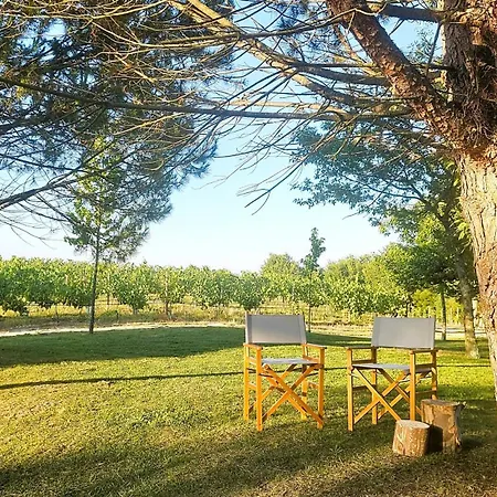 Quinta Do Ribeiro Garden House * ロウザダ