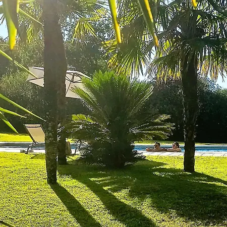 Quinta Do Ribeiro Garden House Villa