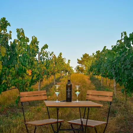 Quinta Do Ribeiro Garden House Lousada