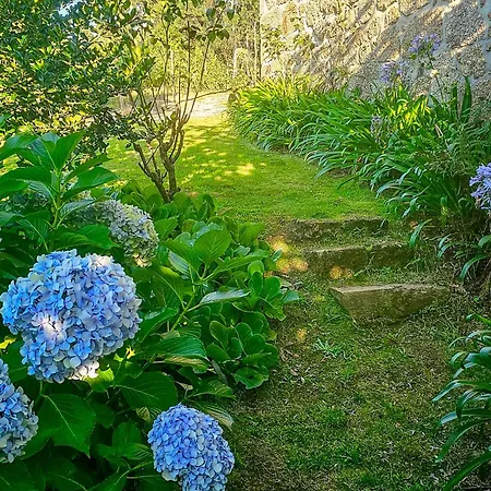 וילה Quinta Do Ribeiro Garden House