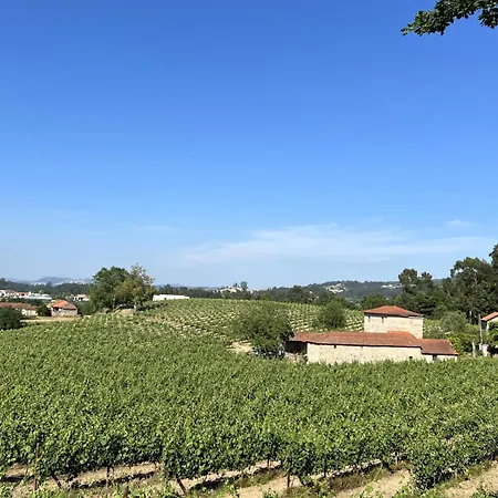 Quinta Do Ribeiro Garden House ヴィラ