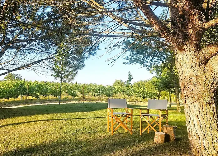 Quinta Do Ribeiro Garden House * Lousada