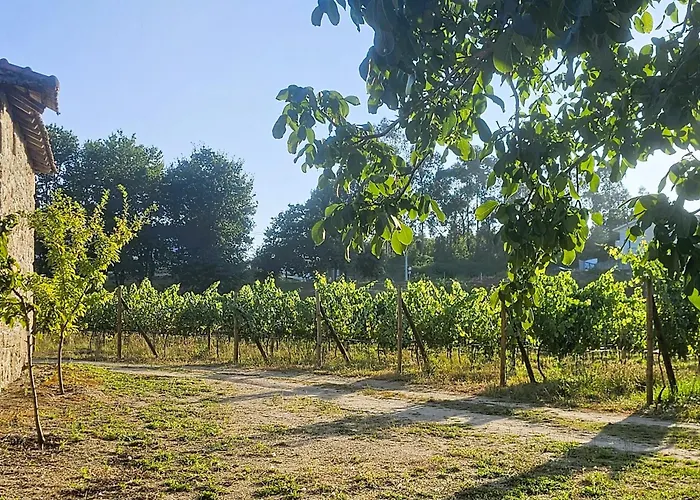 Quinta Do Ribeiro Garden House