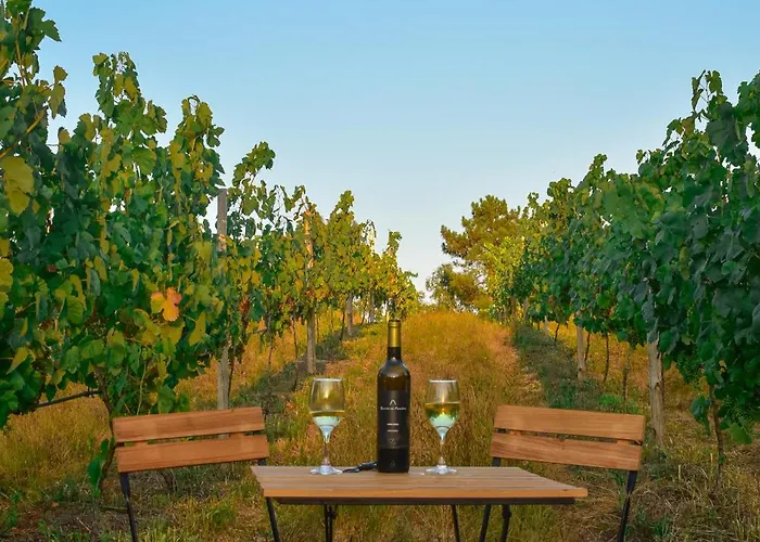 Quinta Do Ribeiro Garden House Lousada