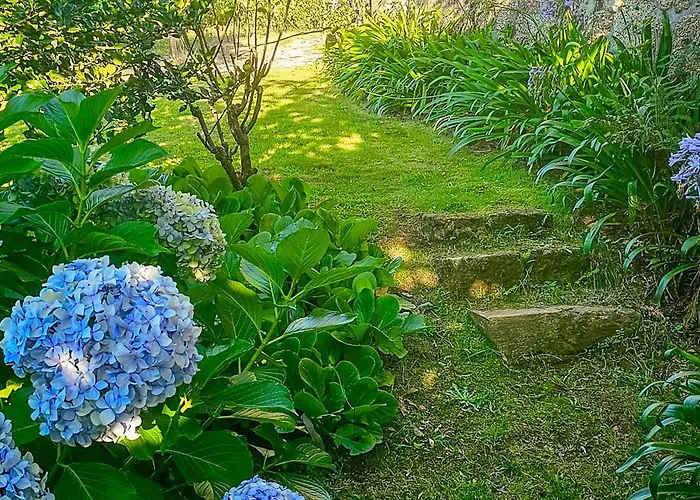 Vila Quinta Do Ribeiro Garden House