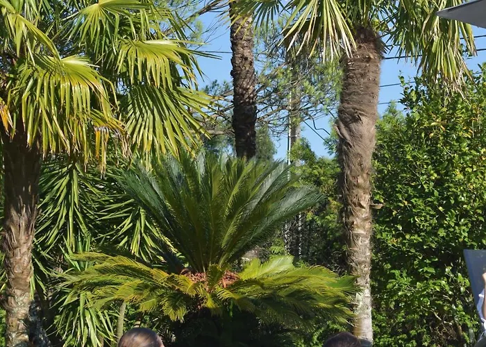 Quinta Do Ribeiro Garden House * Lousada