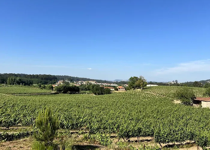 Willa Quinta Do Ribeiro Garden House Lousada