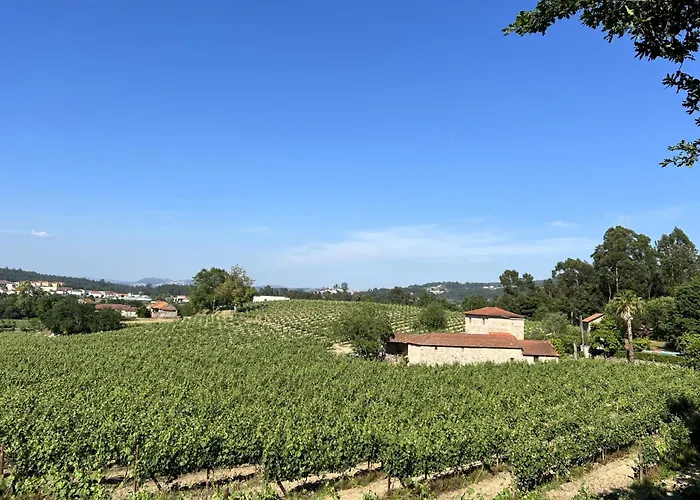 Quinta Do Ribeiro Garden House Vila